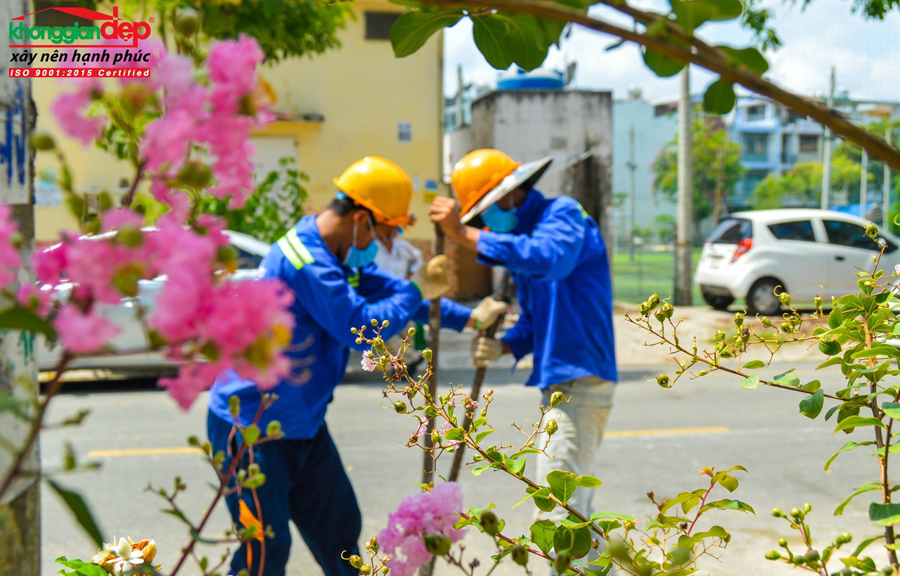 Bố trí cổng, tường rào thi công xây dựng